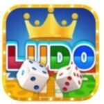 Halo Ludo APK